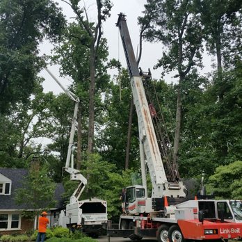 Ernie's Tree Service - Tree Services Near Me - Montpelier, Virginia Ernie's Tree Service - Tree Services Near Me - Montpelier, Virginia
