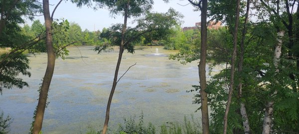 Pershing Field Park by null