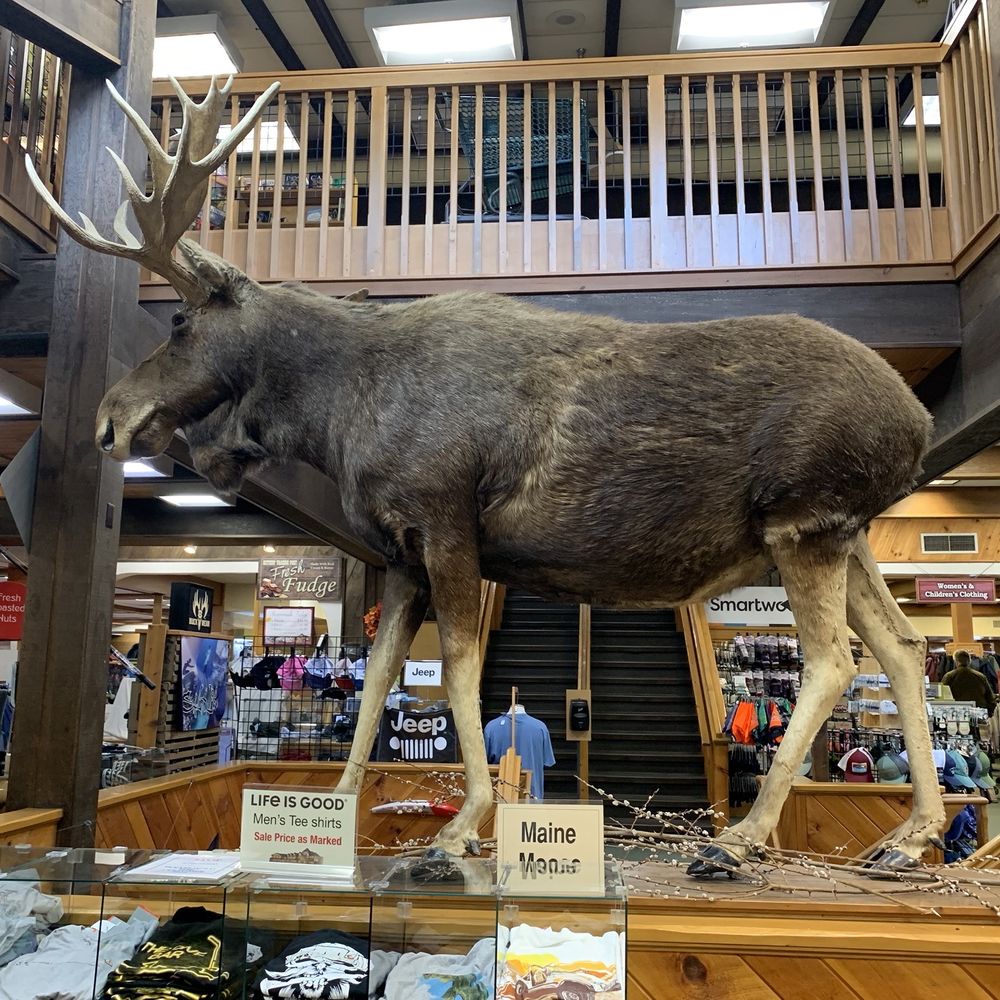 Kittery Trading Post - Hunting & Fishing Supplies Near Me - Kittery, Maine Kittery Trading Post - Hunting & Fishing Supplies Near Me - Kittery, Maine