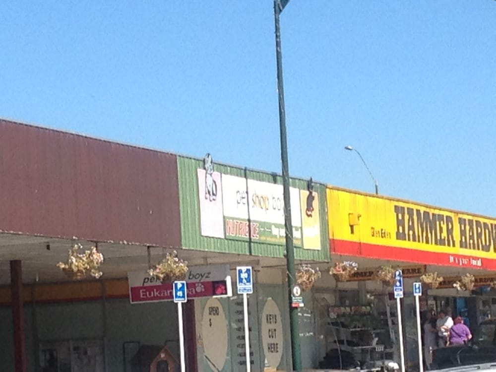 PET SHOP BOYZ Updated September 2024 15 Glenmall Pl, Auckland, New