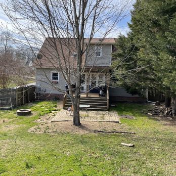 Picky Pike's Outdoor Solutions - Before - Tree Services Near Me Picky Pike's Outdoor Solutions - Before - Tree Services Near Me