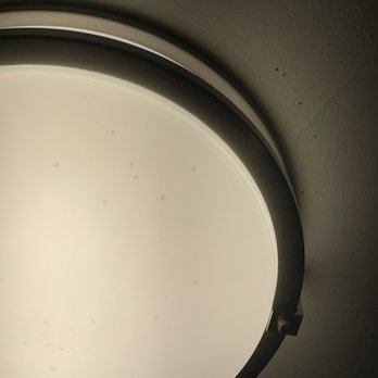 Hyatt Regency Boston - tiny bugs everywhere in the bathroom. Yes those black dots are bugs! - Hotels Near Me - Boston, Massachusetts Hyatt Regency Boston - tiny bugs everywhere in the bathroom. Yes those black dots are bugs! - Hotels Near Me - Boston, Massachusetts