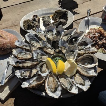 Hog Island Oyster - Seafood Near Me - Marshall, California Hog Island Oyster - Seafood Near Me - Marshall, California