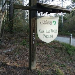Nags Head Woods Preserve, Kill Devil Hills, North Carolina, USA, April 2017