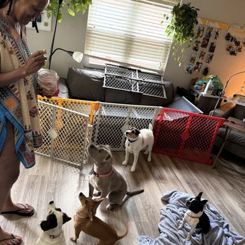 Home Instead Pet Sitting - Pet Boarding Near Me - Pittsburgh, Pennsylvania