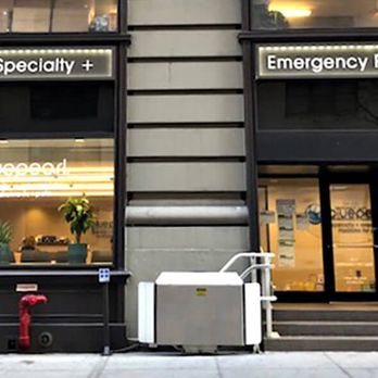 BluePearl - Downtown - Veterinarians Near Me - New York, New York BluePearl - Downtown - Veterinarians Near Me - New York, New York
