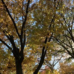 Riverside Park