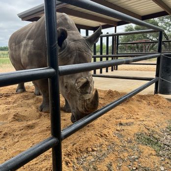 Rhinory - Wineries Near Me - Fredericksburg, Texas