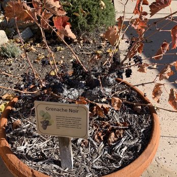 Tablas Creek Vineyard - Wineries Near Me - Paso Robles, California