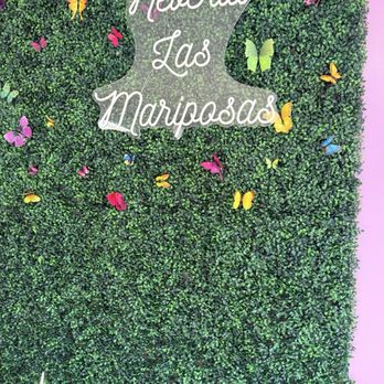Ice Cream Las Mariposas - Ice Cream & Frozen Yogurt Near Me - Aurora, Colorado Ice Cream Las Mariposas - Ice Cream & Frozen Yogurt Near Me - Aurora, Colorado