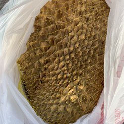 Golden Land Food Market - Can't wait to eat this huge durian tomorrow!