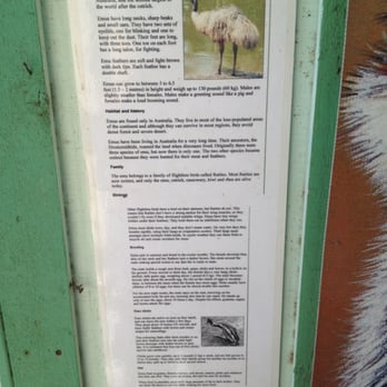 Ostrichland USA - Emu facts - Attraction Farms Near Me - Solvang, California Ostrichland USA - Emu facts - Attraction Farms Near Me - Solvang, California