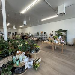 The Northside Collective - Tons of accessories