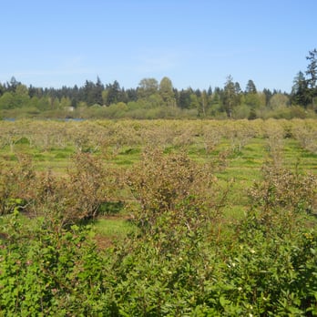 Lake Hills Greenbelt - Parks Near Me - Bellevue, Washington Lake Hills Greenbelt - Parks Near Me - Bellevue, Washington