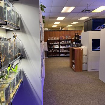 Big Fish Aquarium - Aquarium Services Near Me - Chicago, Illinois