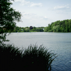 Griebnitzsee - Griebnitzsee, Blick Richtung Westen