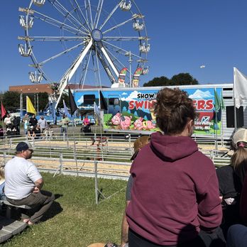 Carolina Classic Fair - Pig races - Festivals Near Me - Winston-Salem, North Carolina Carolina Classic Fair - Pig races - Festivals Near Me - Winston-Salem, North Carolina