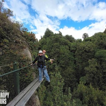 Rotorua Canopy Tours - Amazing view midway through the tour - Tours Near Me - Rotorua, BOP Rotorua Canopy Tours - Amazing view midway through the tour - Tours Near Me - Rotorua, BOP