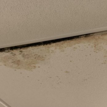 Embassy Suites by Hilton Milwaukee Brookfield - Black mold - Hotels Near Me - Brookfield, Wisconsin Embassy Suites by Hilton Milwaukee Brookfield - Black mold - Hotels Near Me - Brookfield, Wisconsin