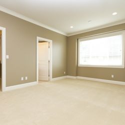 Agape Carpet Color Restoration
