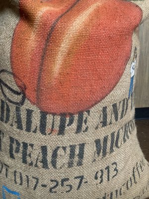 Gallivant Coffee by null