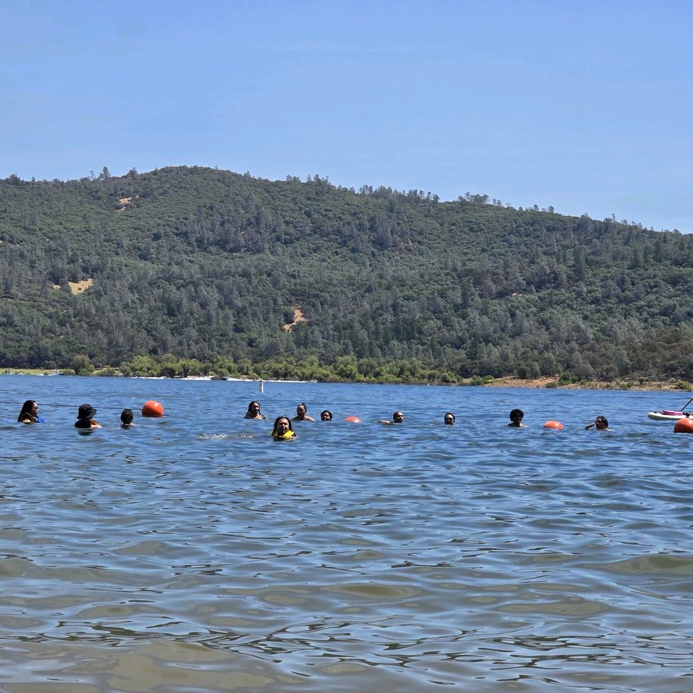 April 14th Happy Birthday to Shani Wallis, Joan Darling, Patricia Bruder,  Julie Christie, Randy Powell, John Shea, Peter Capaldi, John D'Aquino, Brad  Garrett, Brian Forster, Robert Carlyle, Gina McKee, Gregory Sporleder,  Catherine, image size:1000x1000