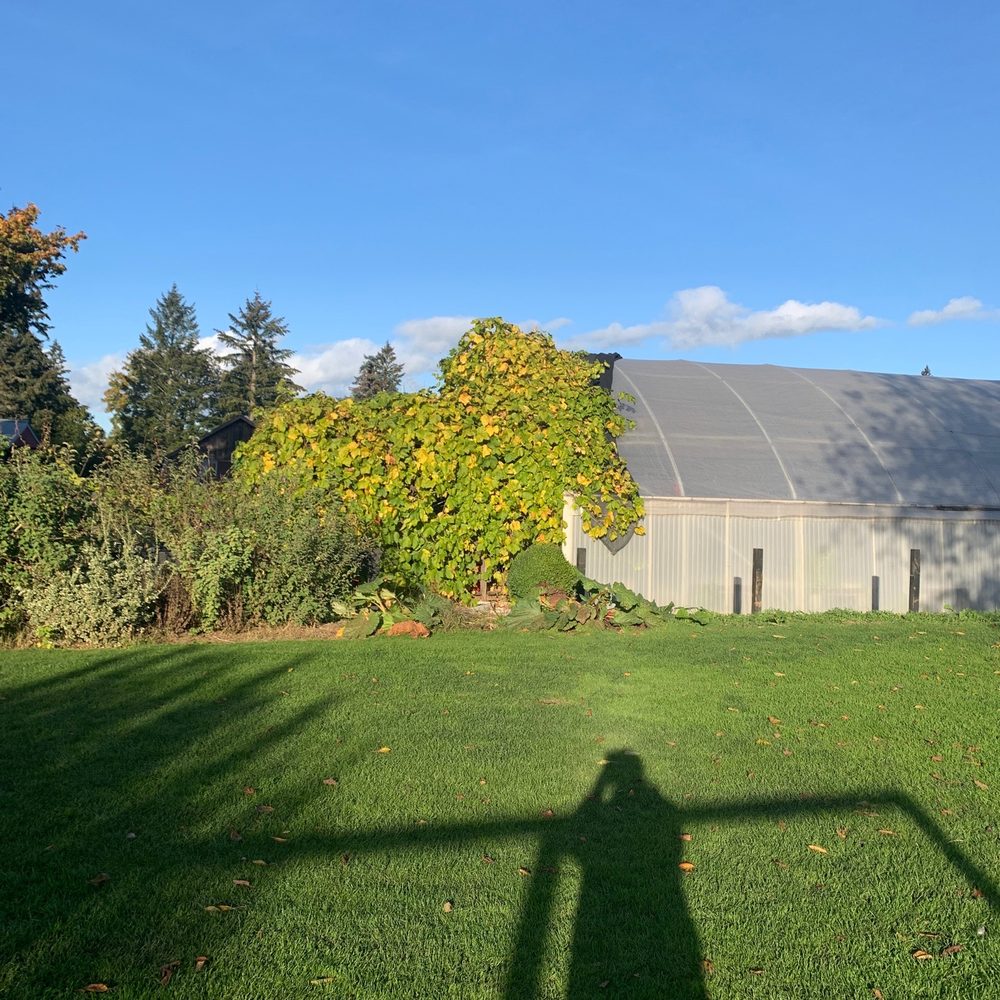 Smith Berry Barn - Green house - Nurseries & Gardening Near Me - Hillsboro, Oregon Smith Berry Barn - Green house - Nurseries & Gardening Near Me - Hillsboro, Oregon