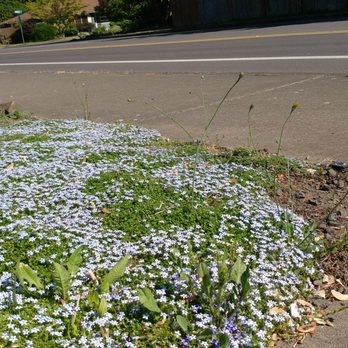 Living Concepts Landscape Services - Landscaping Near Me