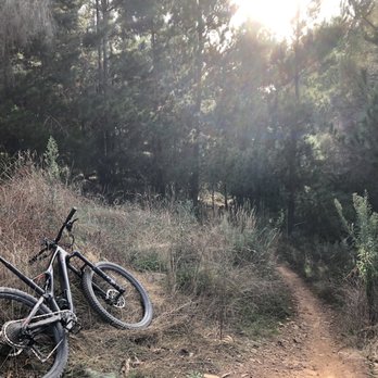 Majura pines Recreation Area - Parks Near Me - Australia Capital Territory, ACT