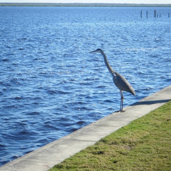 Seminole County Public Library - Heron on Lake Monoe - Libraries Near Me - Sanford, Florida Seminole County Public Library - Heron on Lake Monoe - Libraries Near Me - Sanford, Florida