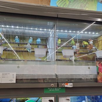 Pet Supplies Plus Winter Park - Pet Groomers Near Me - Winter Park, Florida