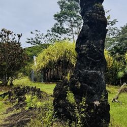 Lava Tree State Park