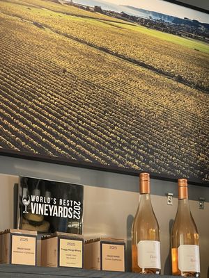 Craggy Range by null