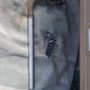 Photo of Minute Muffler & Brake
