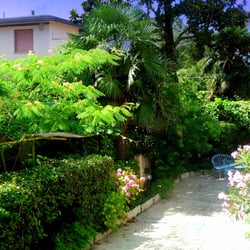 Hotel Merano - Garden view from my balcony