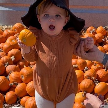 Earthbound Farm Stand - Pumpkins and witches hats! - Organic Stores Near Me - Carmel, California Earthbound Farm Stand - Pumpkins and witches hats! - Organic Stores Near Me - Carmel, California