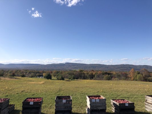 Apple Hill Farm by null