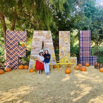 Live Oak Canyon Pumpkin Patch and Christmas Tree Farm - Christmas Trees Near Me - Redlands, California Live Oak Canyon Pumpkin Patch and Christmas Tree Farm - Christmas Trees Near Me - Redlands, California