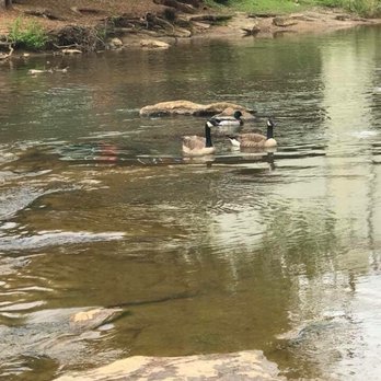 Falls Park - Venues & Event Spaces Near Me - Greenville, South Carolina Falls Park - Venues & Event Spaces Near Me - Greenville, South Carolina