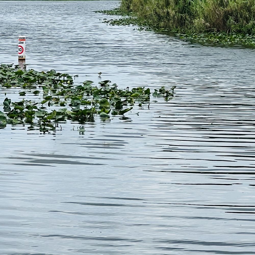 Stub Canal Park - Parks Near Me - West Palm Beach, Florida Stub Canal Park - Parks Near Me - West Palm Beach, Florida