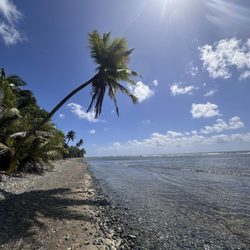 Reserva Natural Humedal Punta Viento - Snorkeling area with palm tree shade.