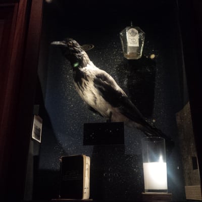 The Museum of Innocence by null