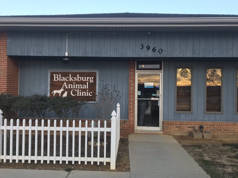 BLACKSBURG ANIMAL CLINIC - 3960 S Main St, Blacksburg, Virginia