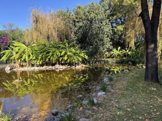 Hotel Real de Minas by null