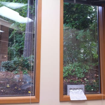 Joseph C Mecca, DMD - General Dentistry Near Me - Bellevue, Washington Joseph C Mecca, DMD - General Dentistry Near Me - Bellevue, Washington