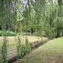 Photo of Northway Gardens Tennis Courts