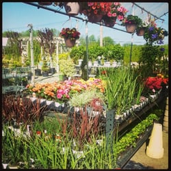 Amato's Garden Center