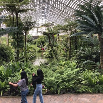 Garfield Park Conservatory - Ferns everywhere you turn. - Parks Near Me - Chicago, Illinois Garfield Park Conservatory - Ferns everywhere you turn. - Parks Near Me - Chicago, Illinois