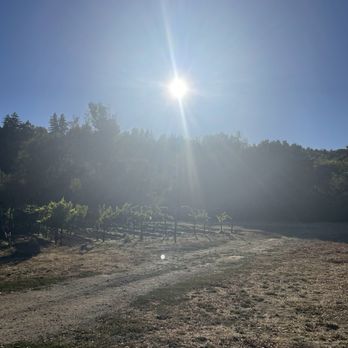 Hendry Ranch Winery Napa Valley - View of the vineyard near our tasting on the porch - Wineries Near Me - Napa, California Hendry Ranch Winery Napa Valley - View of the vineyard near our tasting on the porch - Wineries Near Me - Napa, California