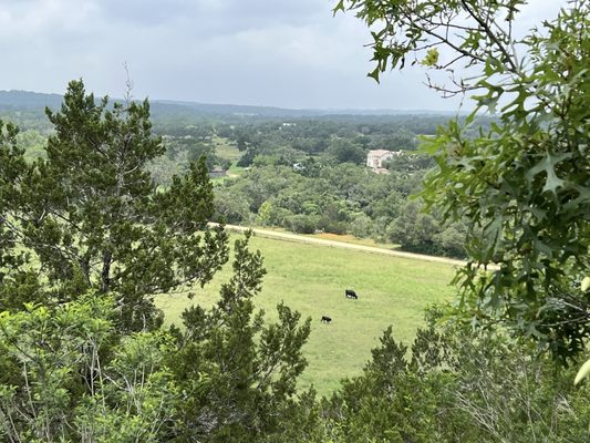 Driftwood Estate Winery by null